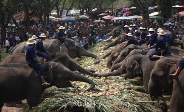 3ปีช้างป่าถูกฆ่าตาย10ตัว จี้รทำแผนอนุรักษ์