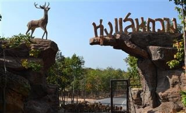 ทุ่งแสนกวาง แสนประทับใจ
