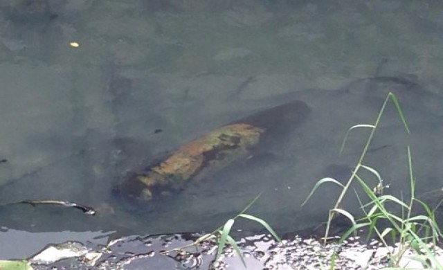 กระสุนปืนใหญ่ทิ้งในร่องระบายน้ำ