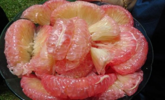 จุฬาฯ เล็งผลิตผงส้มโอลดการดูดซึมไขมัน