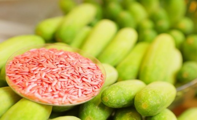 เจียไต๋ มือหนึ่งเมล็ดพันธุ์