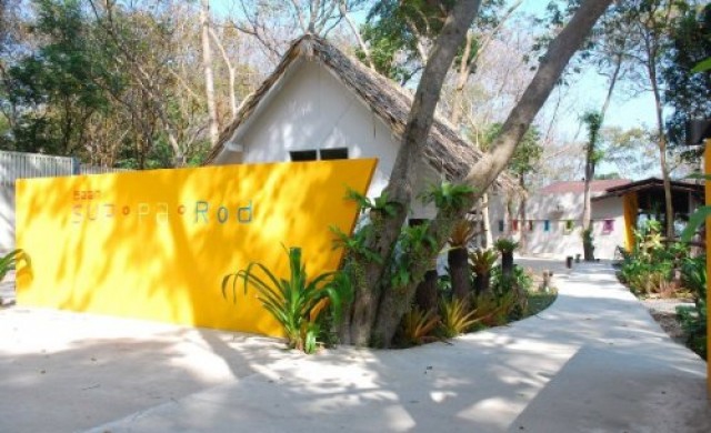 ชีวิตสีสด บ้านสับปะรด