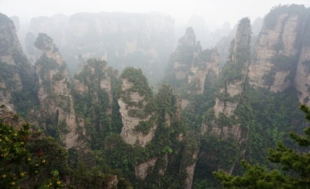 (เหมือน) ฝันไปว่า "แพนดอร่า" มีจริง