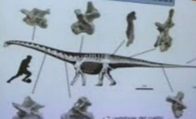 พบฟอสซิลไดโนเสาร์ใหญ่สุดในอาร์เจนตินา