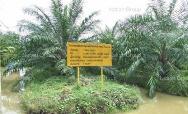 เกษตรกรไร้ที่ทำกินทยอยออกจากสวนปาล์ม