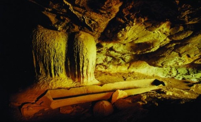 เดินป่า ตามหา 'โลง'