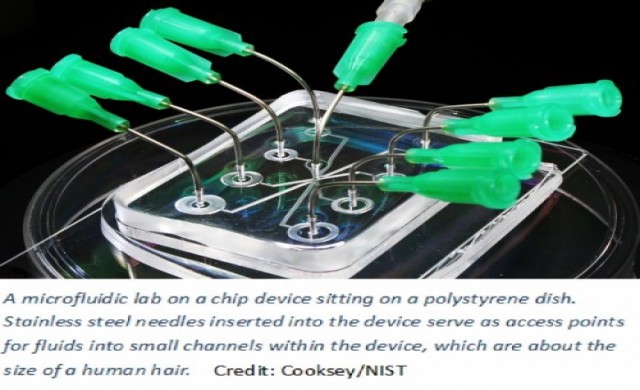 ตรวจมะเร็งด้วยแผ่นชิป