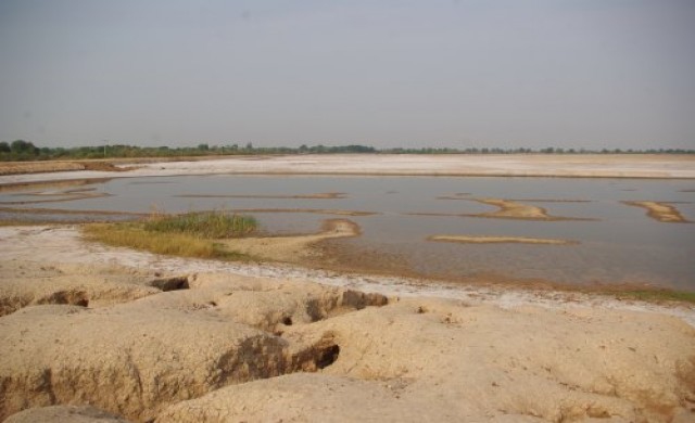 แก้จน...บนผืนดินเค็ม