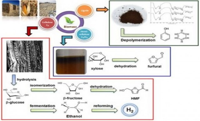 โมเดลเชื้อเพลิงชีวภาพแบบไร้ของเสีย
