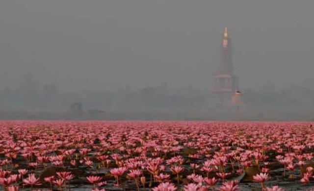มีงบเกือบพันล้าน!แต่ไม่มีผู้รับเหมาลุย'ทะเลบัวแดง'