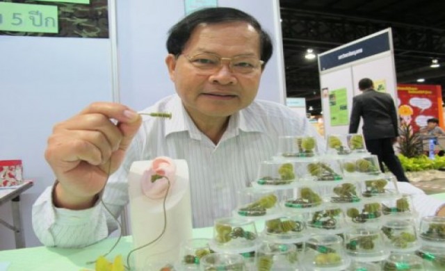 คืนความสุขให้กับหู