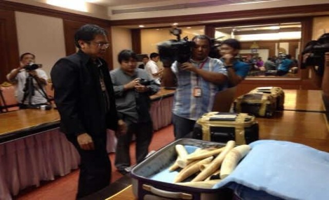 กรมศุลกากรจับงาช้าง