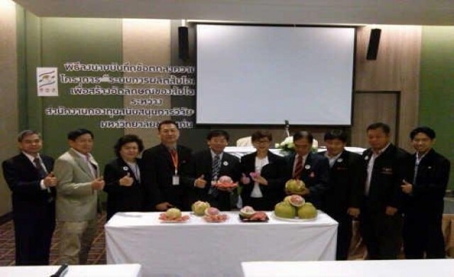 มข.จับมือสกว.พัฒนาส้มโอเนื้อแดง