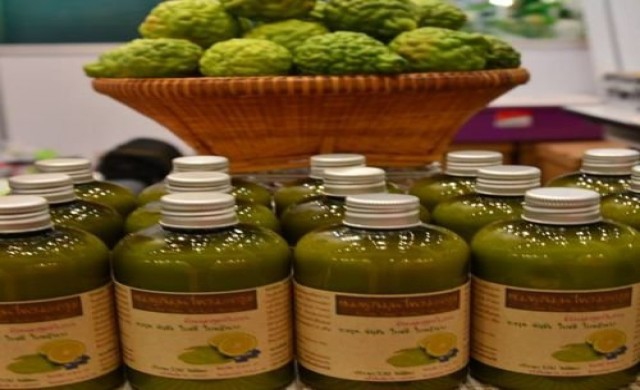 'Green Growth' การเติบโตของเมล็ดพันธุ์สีเขียว