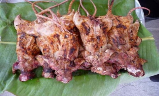 ไล่ล่าหนูนาย่างขายเป็นอาชีพเสริมรายได้งาม