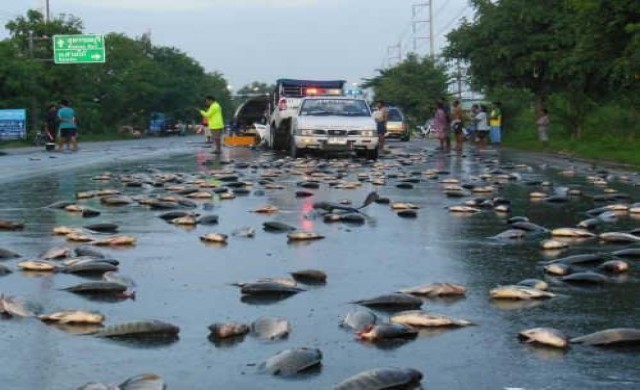 กระบะบรรทุกปลาชนเก๋งดับ1เจ็บ1