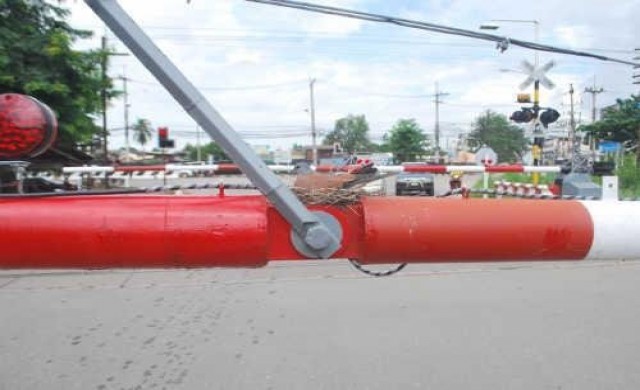 แปลก!นกเขาคู่รักทำรังกกไข่บนที่กั้นรถไฟ