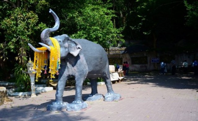 ช้างหาย...ที่ตรัง