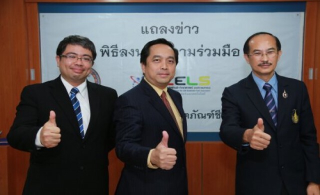'ยางพารา' เครื่องสำอางครบวงจร