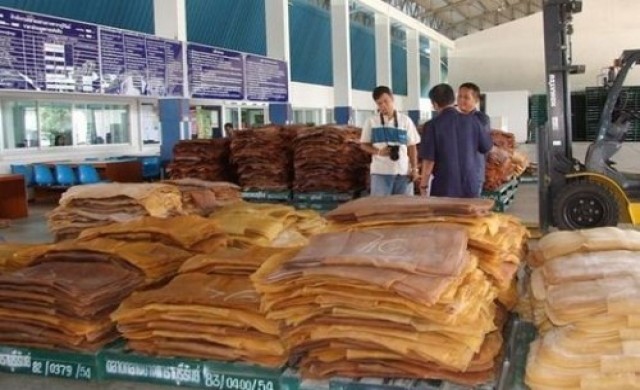 จี้รัฐตรวจสต็อกยางที่มีกระแสข่าวยางเน่า