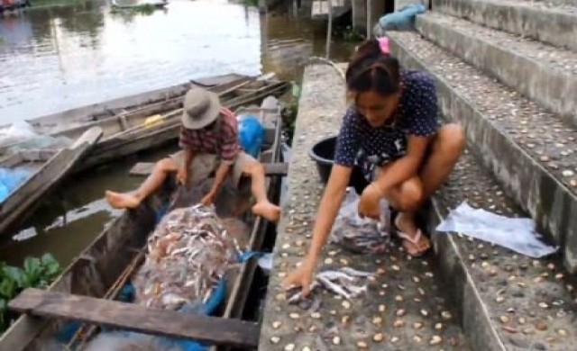 ชาวบ้านพัทลุงแห่จับปลาทะเลสาบ