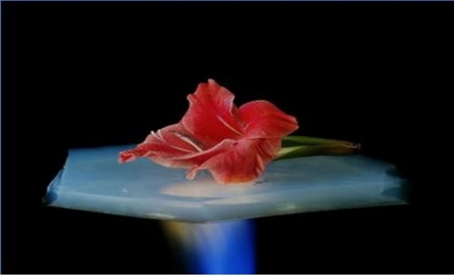 'ซิลิกาแอโรเจล' ครั้งแรกในไทย