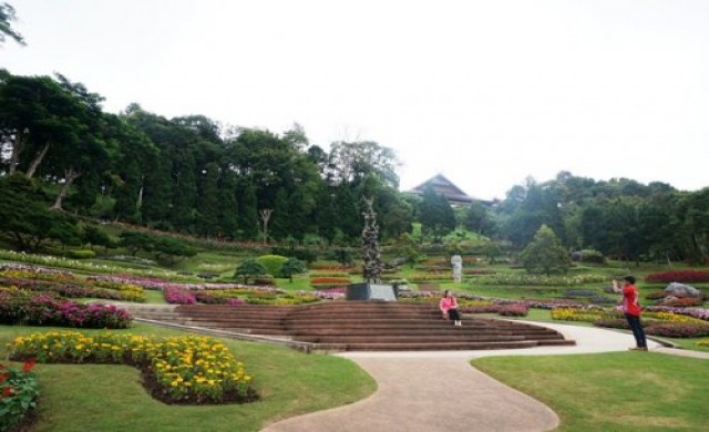 หนาวนี้ที่งาน "สีสันแห่งดอยตุง"