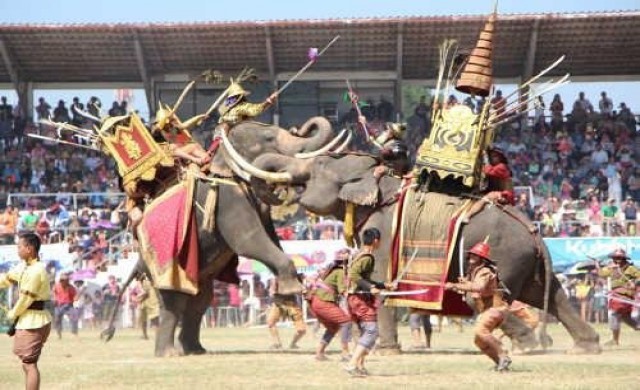 มหัศจรรย์งานช้างสุรินทร์