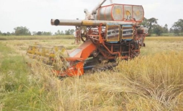 ทุกข์ซ้ำชาวนารถเกี่ยวข้าวคิดราคาสูงไร่ละพัน