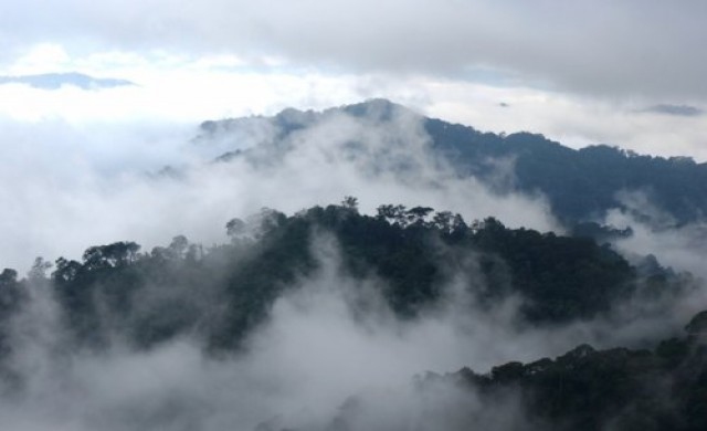 บนความพลิ้วไหวใน'แก่งกระจาน'