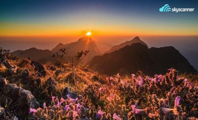 'เที่ยวไทย' ที่ไหนโดนใจสุดๆ