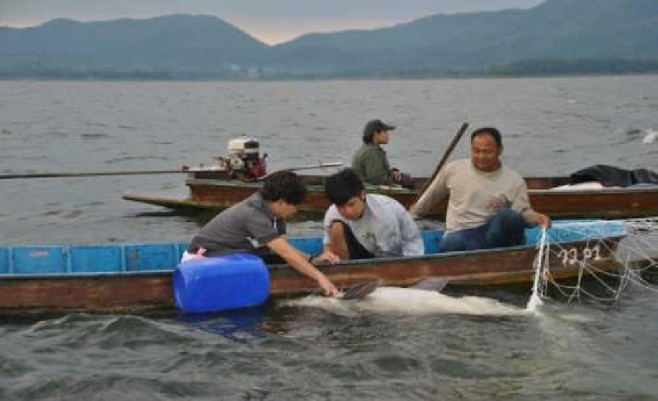 3วันล่าปลาบึกแก่งกระจานได้แล้ว5ตัว