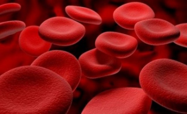 EXPAP เพื่อผู้ป่วยภาวะเหล็กเกิน