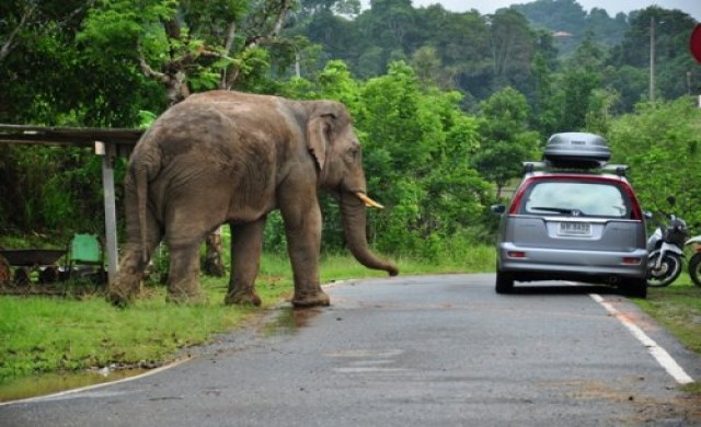 ผมไม่ได้เกเร