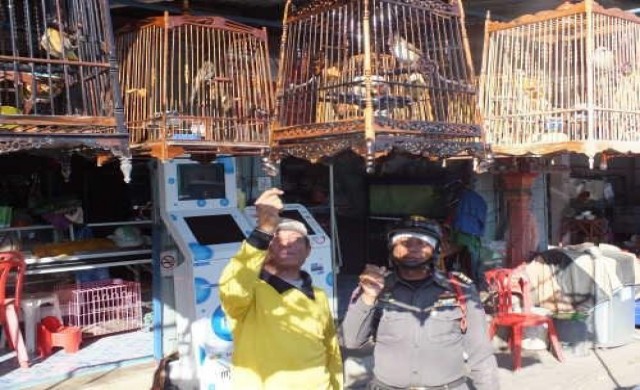 ขนนกกรงหัวจุกตากแดดคลายหนาว