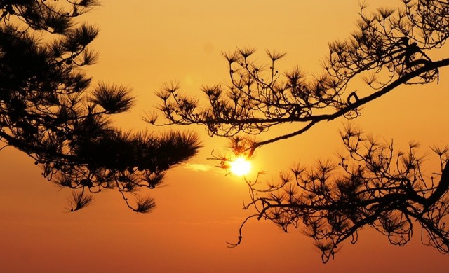 เดินด้วยใจไป'ภูกระดึง' 