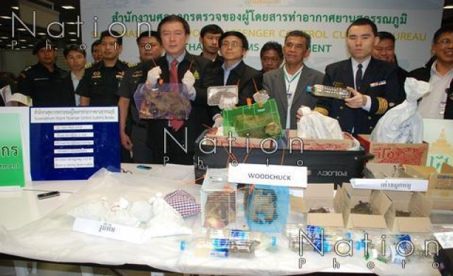 ศุลกากรรวบญี่ปุ่นขน'เต่า-งู'ขึ้นเครื่อง