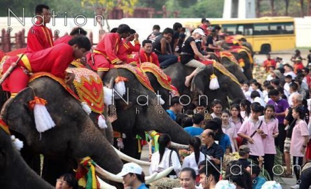 เมืองกรุงเก่าจัดเลี้ยงอาหารโต๊ะจีนช้างสุดยิ่งใหญ่