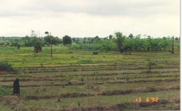 คทช.นำร่องจัดสรรที่ทำกินให้ราษฎร6พื้นที่