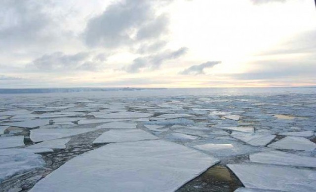 น้ำแข็งขั้วโลกใต้บางลงเกือบ 20%