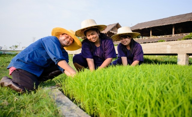 ชีวิตดี๊ดีที่ 'สุโข(ทัย)' 