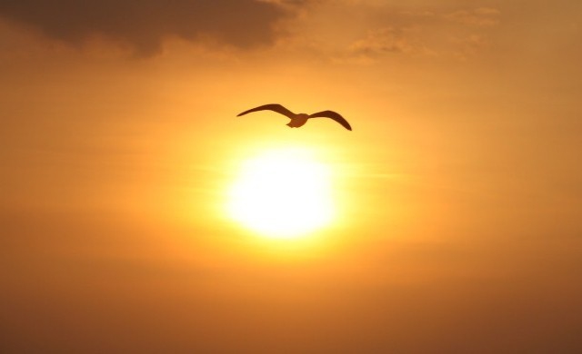 ระวัง โรคที่มาในช่วงหน้าร้อน