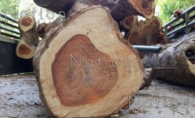 กองกำลังบูรพาจับแก๊งมอดไม้ ลอบขนส่งนายทุนเขมร