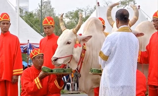 พระยาแรกนาเสี่ยงทายผ้านุ่งปีนี้น้ำมาก