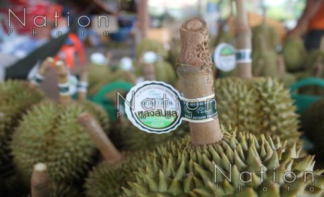 สุดฮอต!ทุเรียน'หลง-หลินลับแล'สร้างรายได้วันละแสนบาท