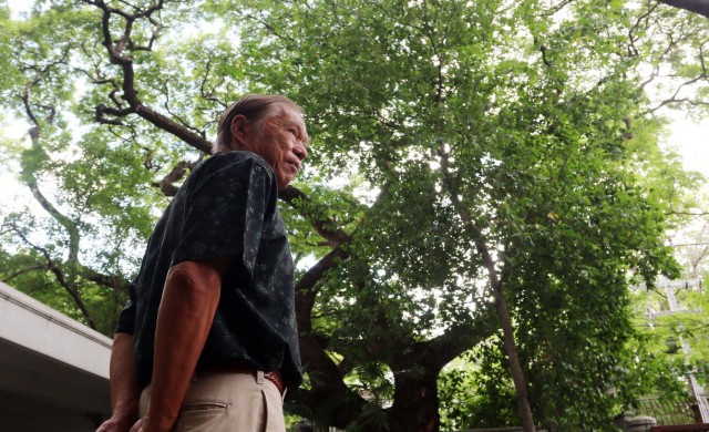 'เดชา บุญค้ำ' ศัลยกรรมต้นไม้ ศัลยกรรมเมือง