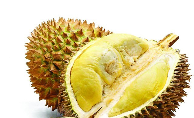 รู้ทันทุเรียน