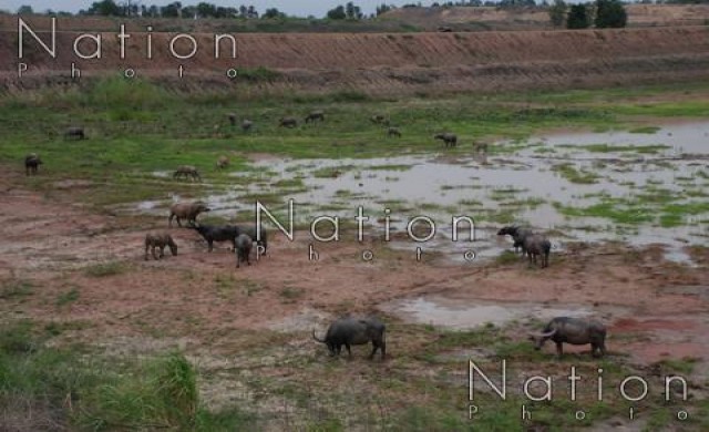 3บึงในบางระกำโมเดล แห้งรอฝน