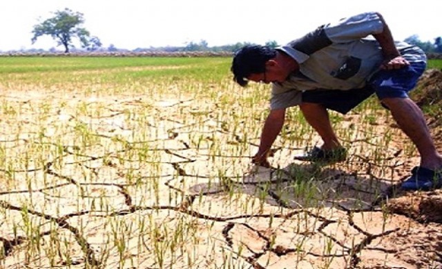 ไฟเขียวงบ2พันลบ.ช่วยเกษตรกรจากภัยแล้ง