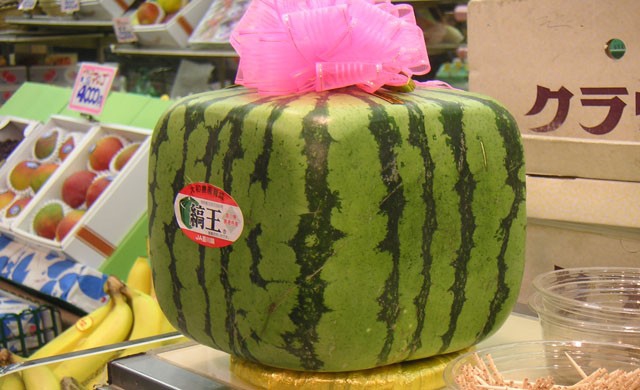 ญี่ปุ่นขายแตงโมทรงแปลกรับหน้าร้อน